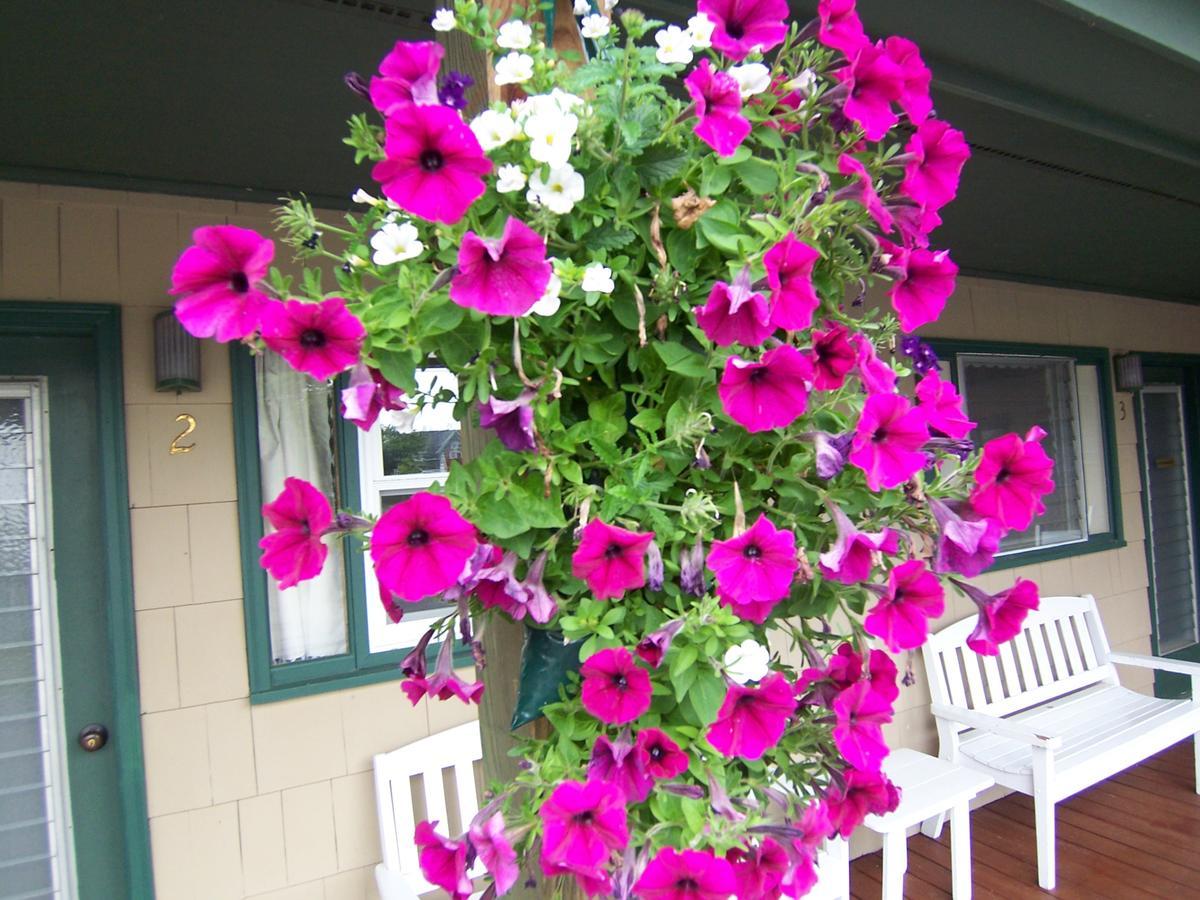 Wooden Boat Inn Clayton Exterior foto